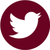 twitter-icon
